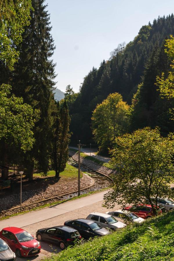 Apartamento Anin Dvor Sekovici Exterior foto
